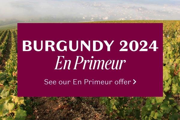 Burgundy 2024