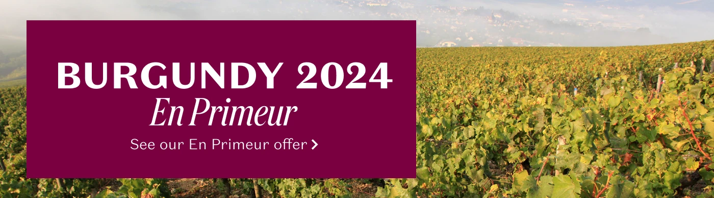 Burgundy 2024