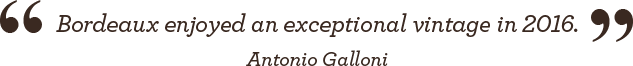 Bordeaux enjoyed an exceptional vintage in 2016. - Antonio Galloni
