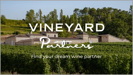 Vineyard Partners