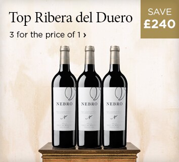 Top Ribera del Duero - The purest and freshest you’ll find - £240