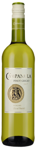 Campanula Pinot Grigio 2017