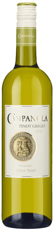 Campanula Pinot Grigio 2020