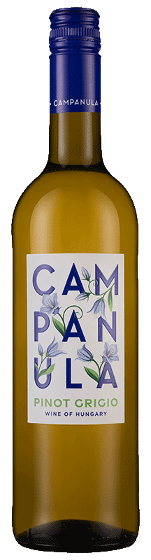 Campanula Pinot Grigio 2021