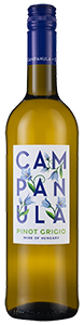 Campanula Pinot Grigio 2022