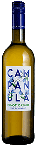 Campanula Pinot Grigio Campanula Pinot Grigio