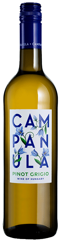 Campanula Pinot Grigio 2023