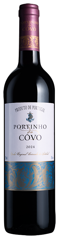 Portinho do Côvo 2024