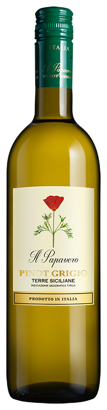 Il Papavero Pinot Grigio 2025