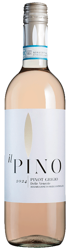 Il Pino Pinot Grigio Rosato 2024