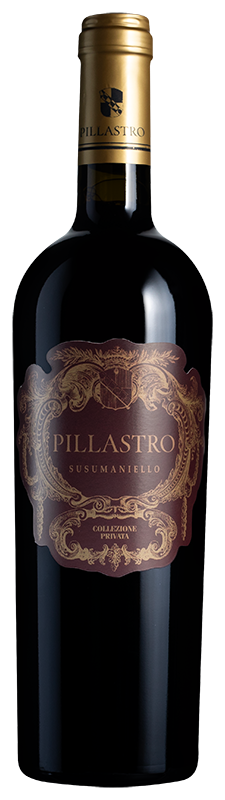 Pillastro Susumaniello 2024