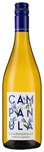 Campanula Chardonnay