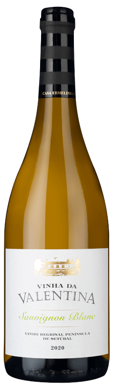 Vinha da Valentina Sauvignon Blanc 2020 Vinha da Valentina Sauvignon Blanc 2020
