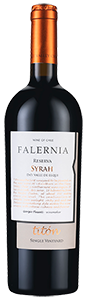 Falernia Titón Single Vineyard Reserva Syrah 2019