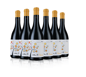 Altos R Pigeage 2021 with 6-bottle Vineyard Partner Subscription Altos R Pigeage 2021 with 6-bottle Vineyard Partner Subscription
