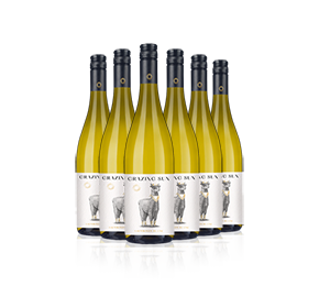 Grazing Sun Sauvignon Blanc 2020 