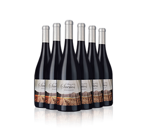 Sierra de Los Sueños 2021 with 6-bottle Vineyard Partner Subscription