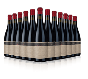 RedHeads 1888 Shiraz 12 bottles