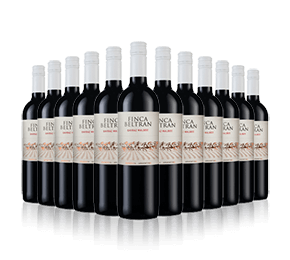 Finca Beltran Shiraz Malbec 2023 Finca Beltran Shiraz Malbec 2023