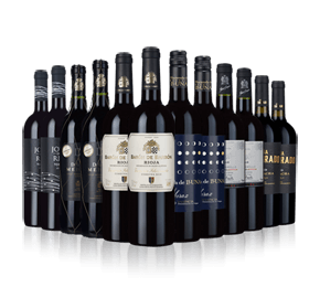 Taste of Spain Christmas Bonus Case Taste of Spain Christmas Bonus Case