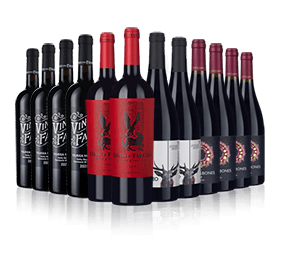 Black Reds Showdown Portuguese Case 