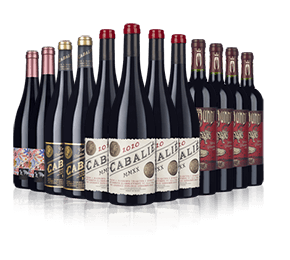 Black Reds Showdown French Case 