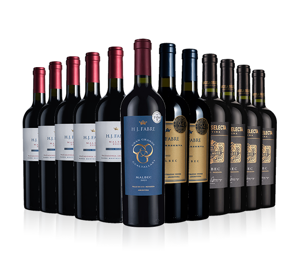 Luxury Argentinian Malbec Showcase