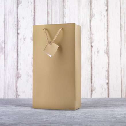 Double Bottle Gift Bag 