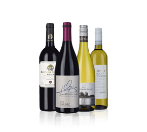 The Four Bottle Taster Case 