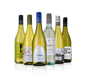 Zesty Sauvignons Six 