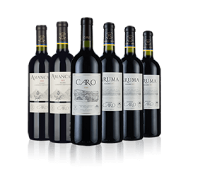 Bodegas Caro Six 