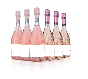 Pink Prosecco Mixed Six