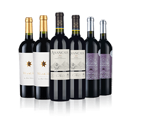 Fine Argentine Reds Six Fine Argentine Reds Six