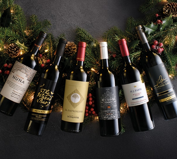 Luxury Reds of Argentina Six