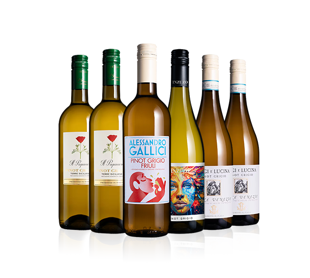 Pinot Grigio Six Pinot Grigio Six