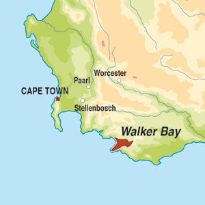 Country Map